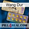Hard Wang new06